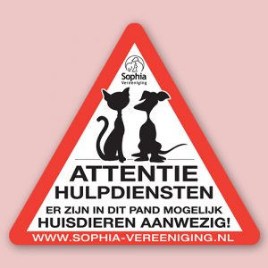 Sophia NoodSticker