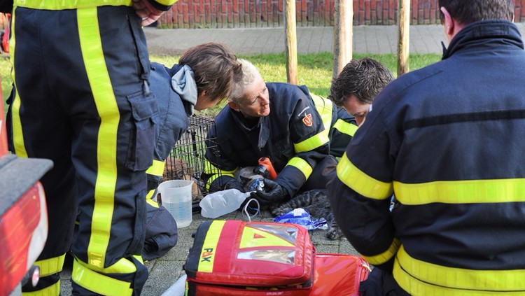 Brandweer Sophia NoodSticker