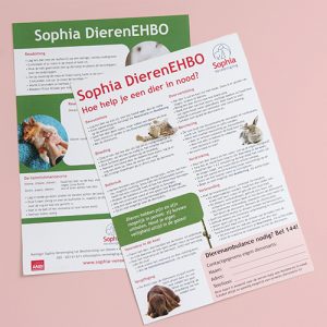 Sophia EHBO kaart