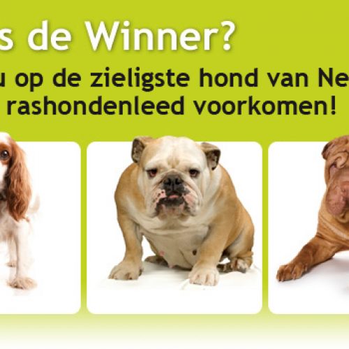 rasdierencampagne