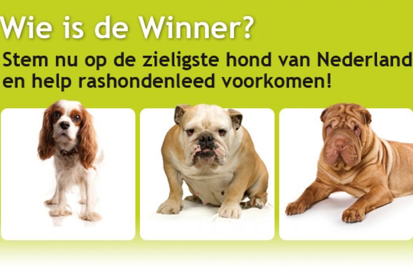 rasdierencampagne