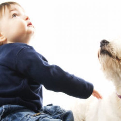 peuter en hond