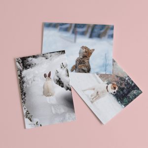Winterkaarten