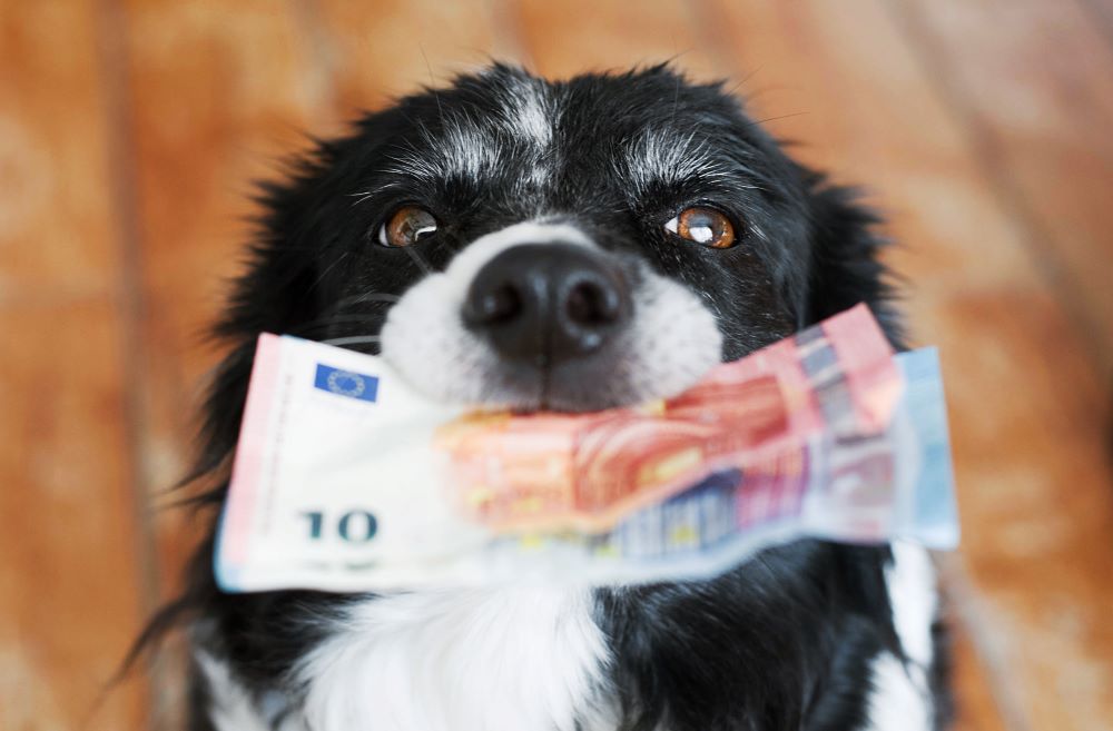 Extra donatie voor de dieren
