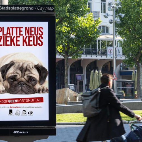KoopGeenKortsnuit