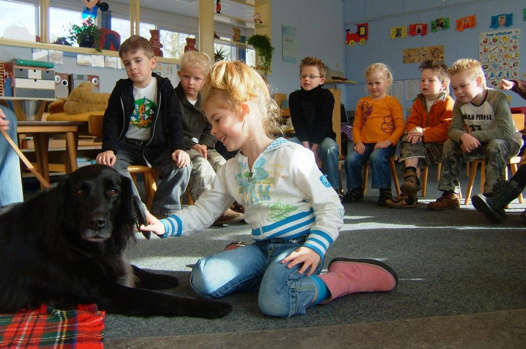 hond in klas