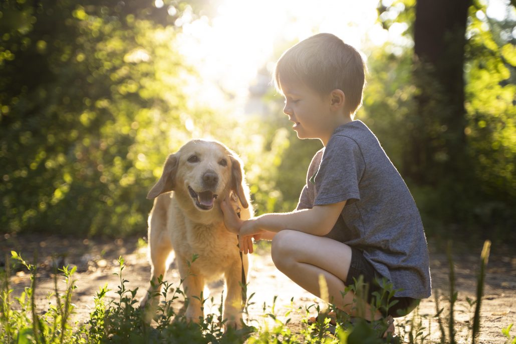 Kind-aait-hond