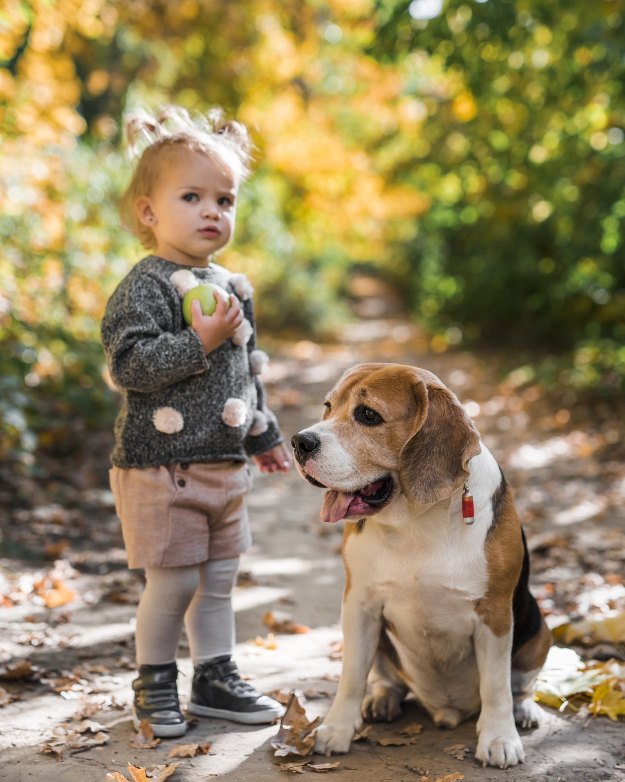hond en meisje