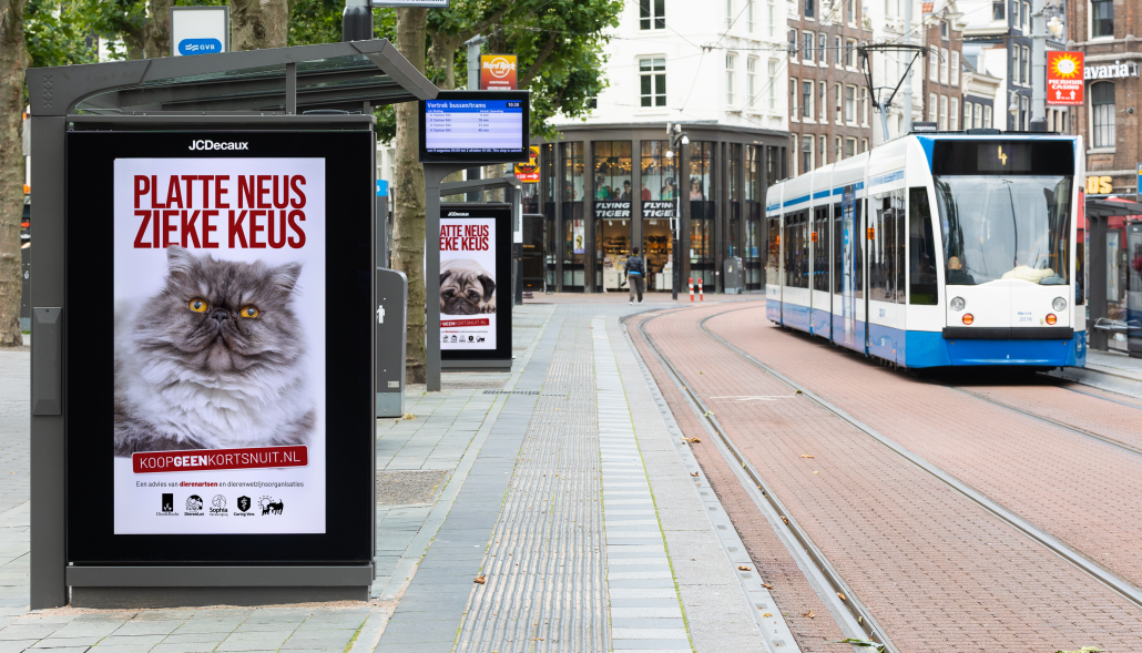 koop geen kortsnuit straatbeeld