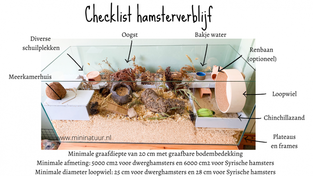 checklist hamsterverblijf mininatuur