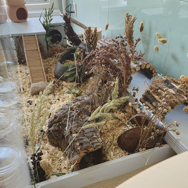 Mininatuur hamsterverblijf 