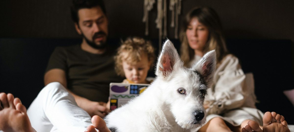 Hond met familie
