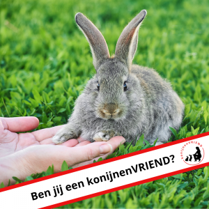 KonijnenVRIEND vierkant