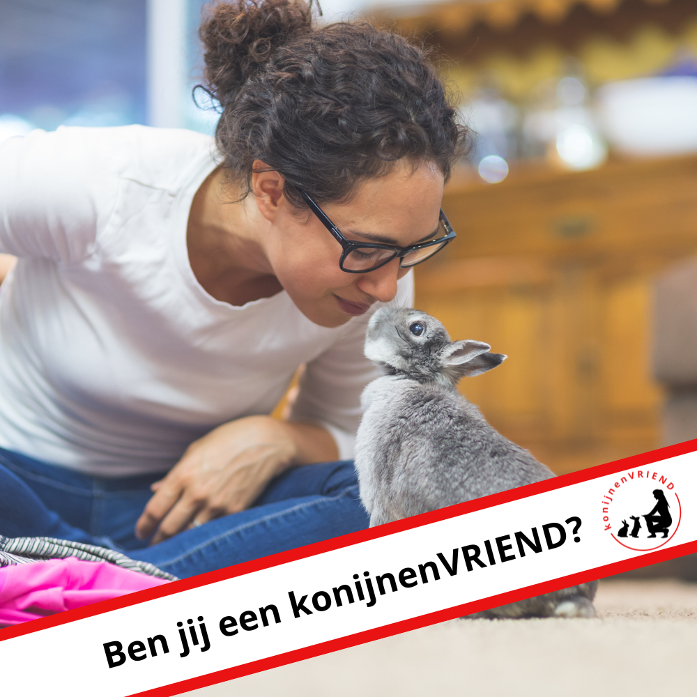 KonijnenVRIEND vierkant