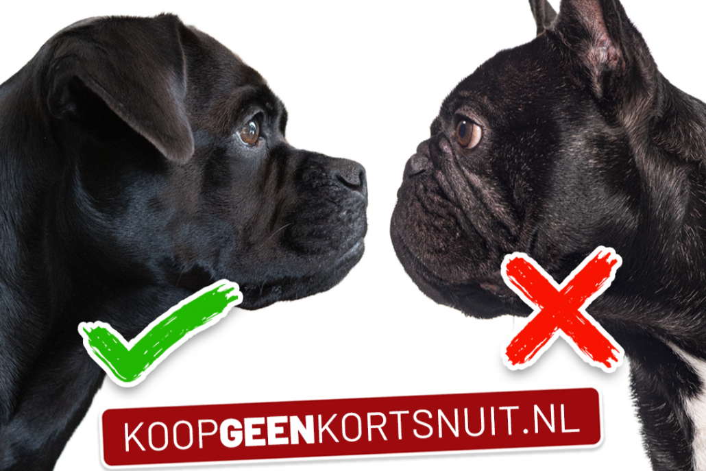 Koop geen Kortsnuit