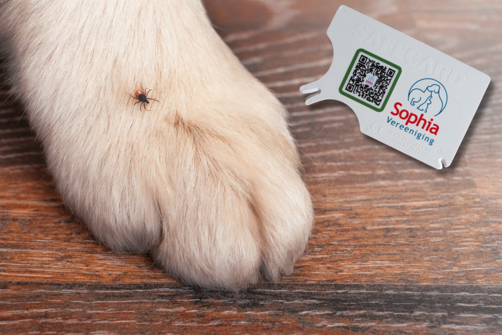 Hond teek tekenpas